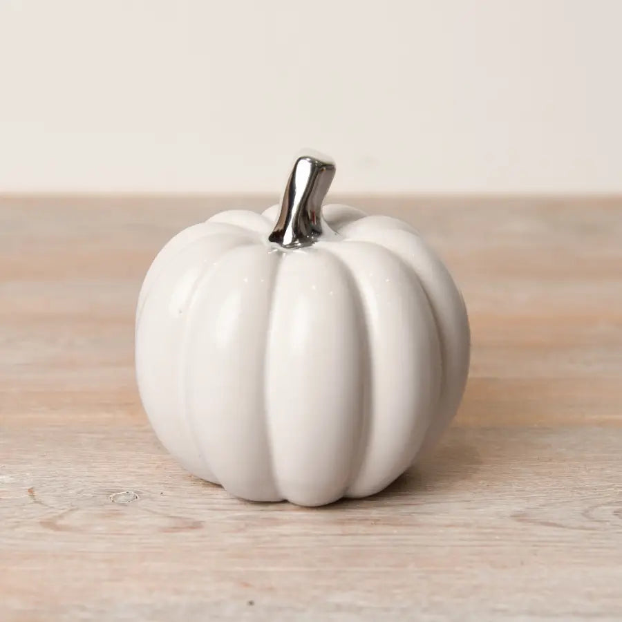 White Pumpkin with Silver Stalk