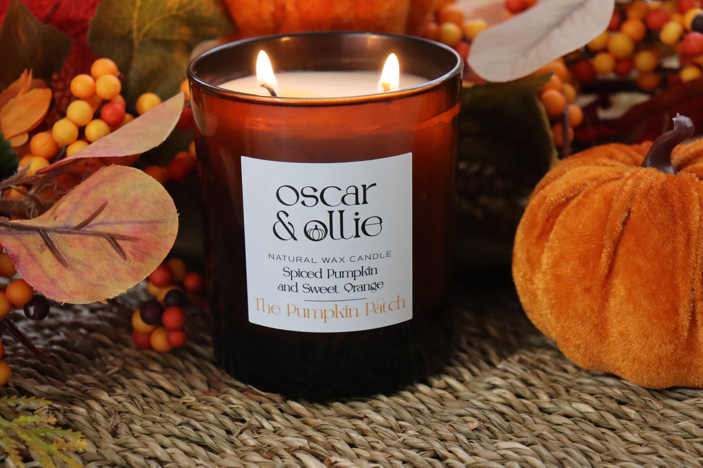The Pumpkin Patch - Limited Edition