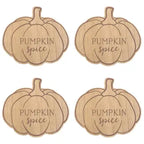 Pumpkin Spice Coaster Set